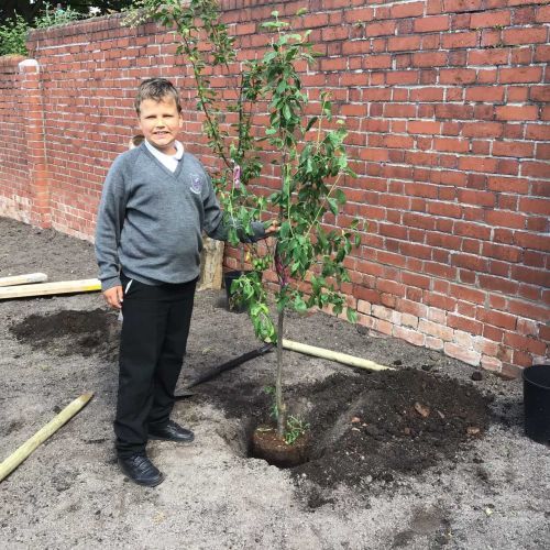 Erikas with his class tree