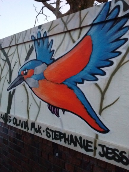 Kingfisher graffiti